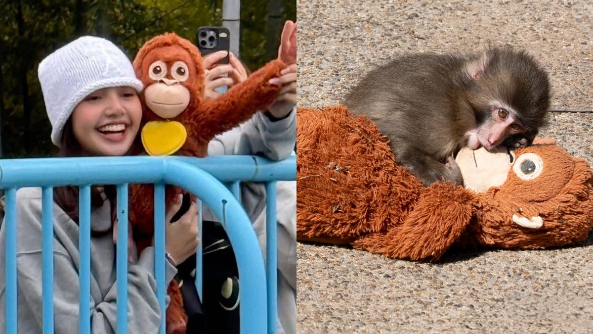 BLACKPINKリサ、日本のスター猿パンチくんに会う